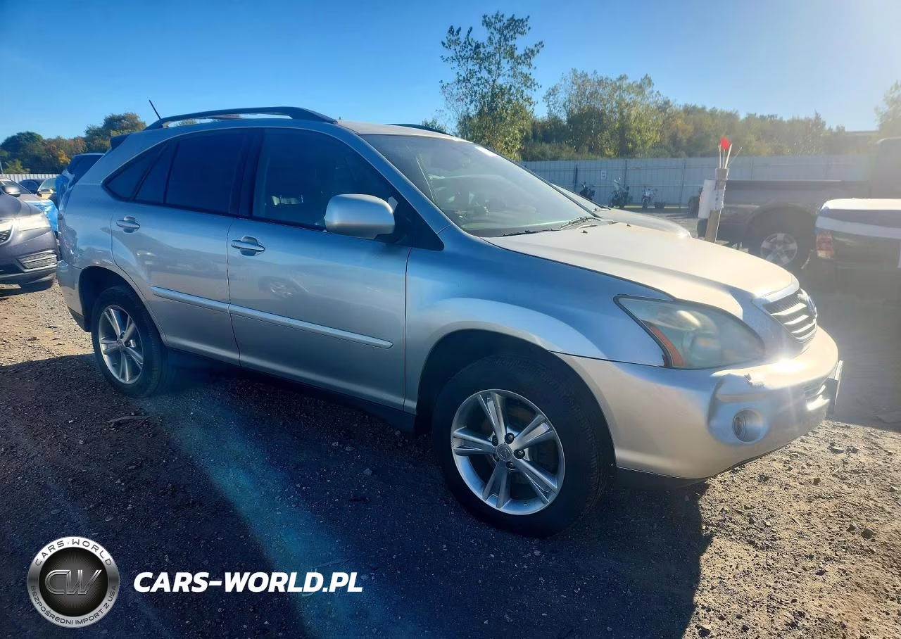 2006 Lexus Rx 400 VIN:JTJHW31U360024237 - 4