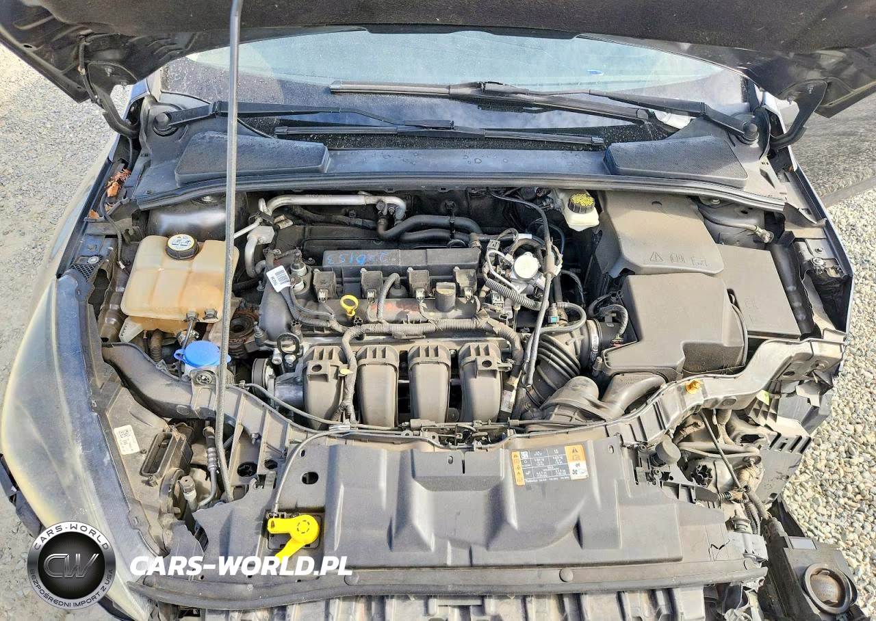 2017 Ford Focus Sel VIN:1FADP3H25HL223106 - 11