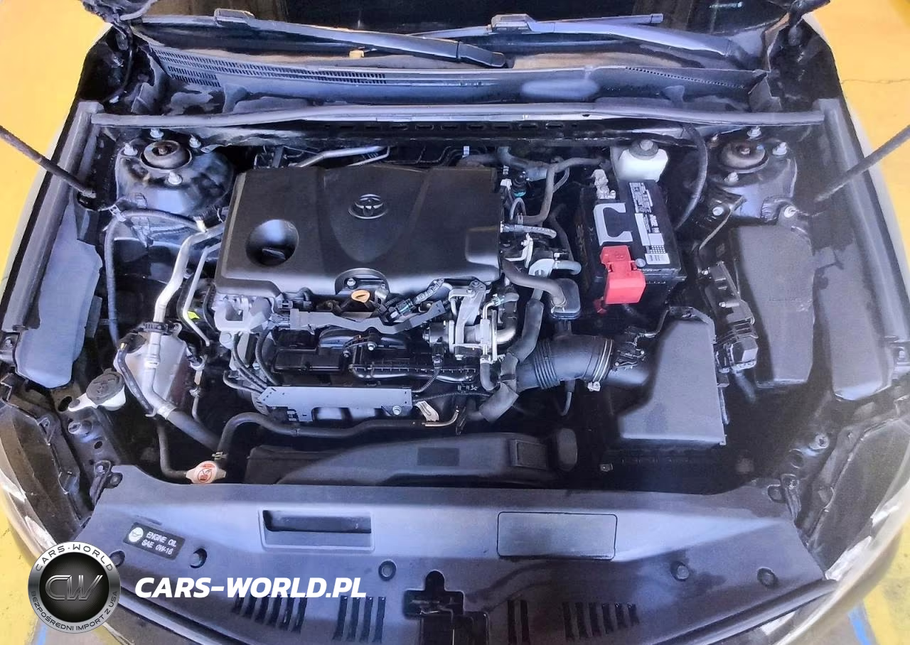 2019 Toyota Camry Se VIN:4T1B11HK7KU270822 - 11