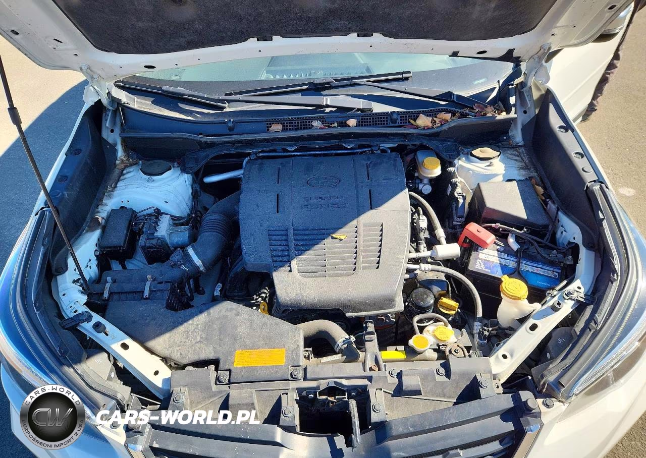 2019 Subaru Forester Touring VIN:JF2SKAWC9KH459558 - 12