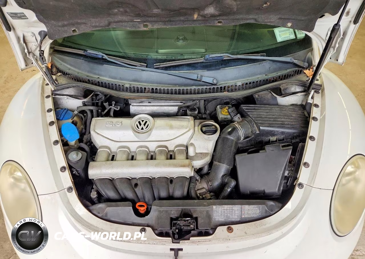 2010 Volkswagen New Beetle VIN:3VWRG3AL4AM009535 - 11