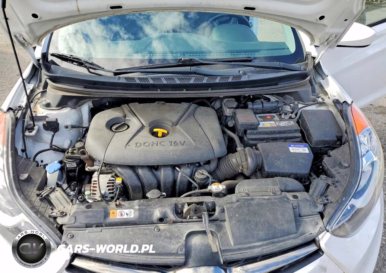 2013 Hyundai Elantra Coupe Gs VIN:KMHDH6AE0DU008827 - 11