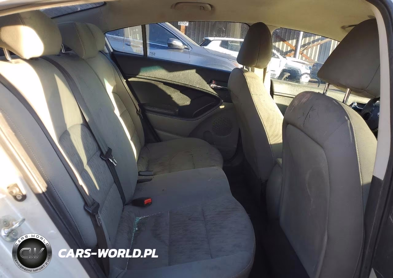 2015 Kia Forte Lx VIN:KNAFK4A68F5298451 - 10