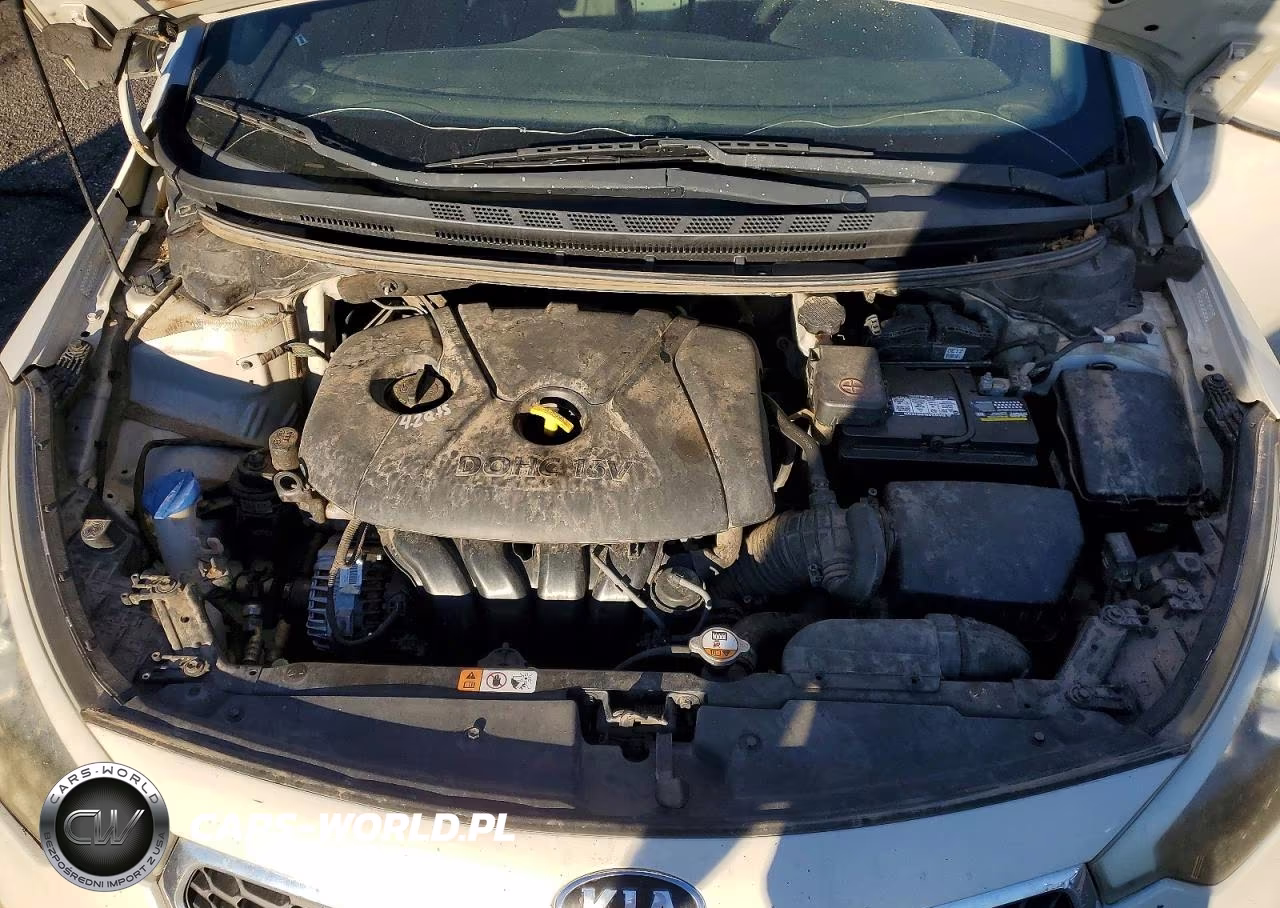 2015 Kia Forte Lx VIN:KNAFK4A68F5298451 - 11