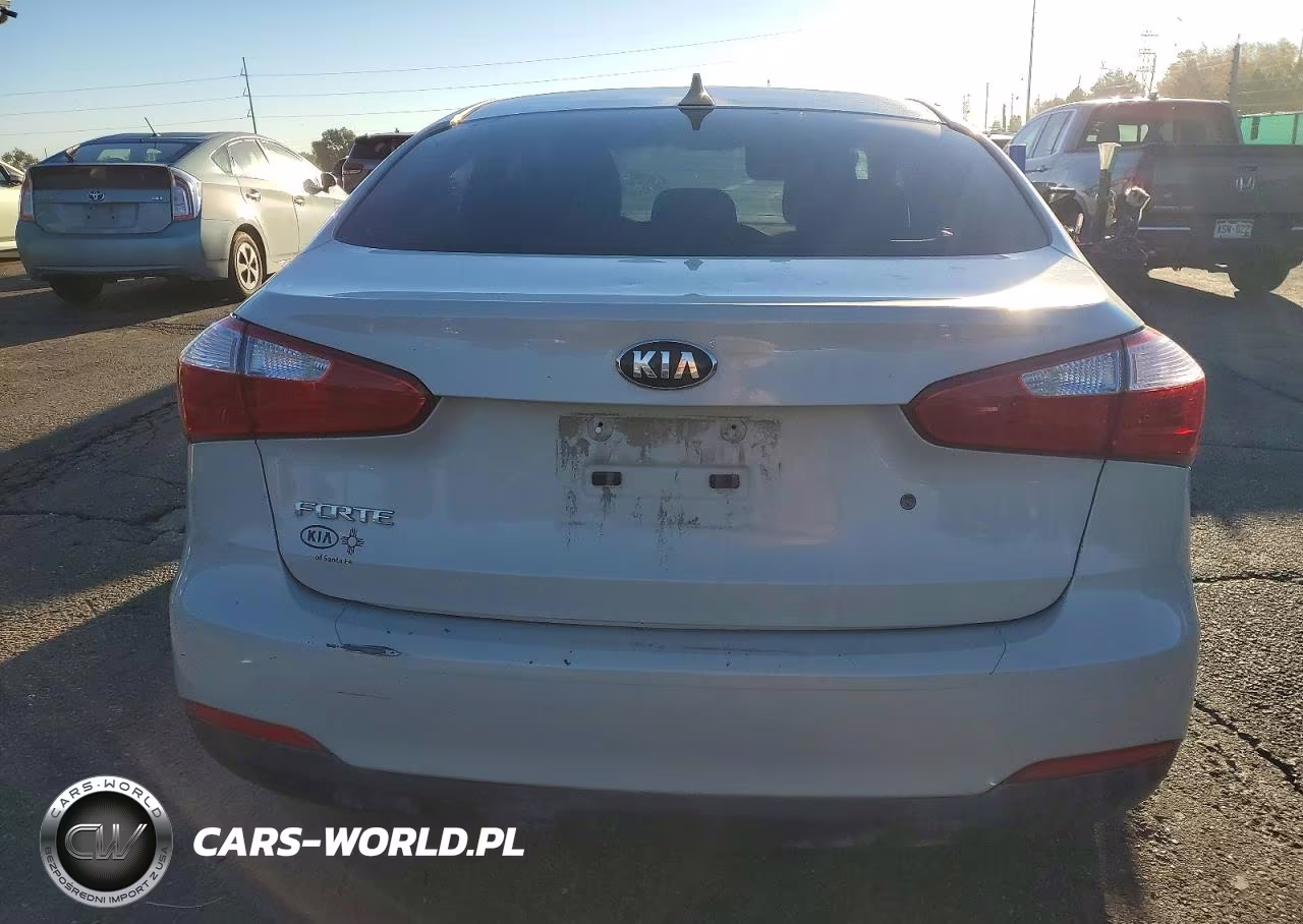 2015 Kia Forte Lx VIN:KNAFK4A68F5298451 - 6