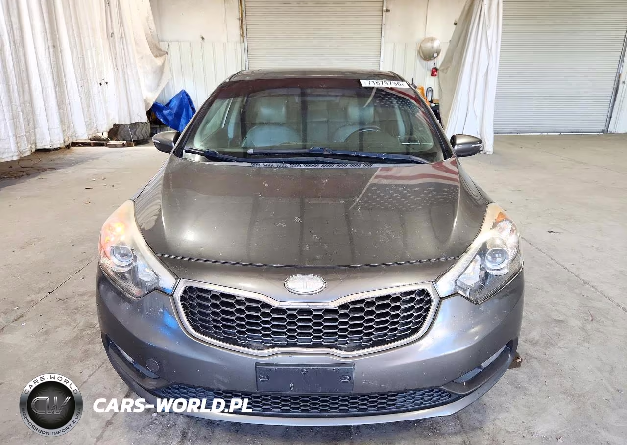 2014 Kia Forte Ex VIN:KNAFX4A83E5101543 - 5