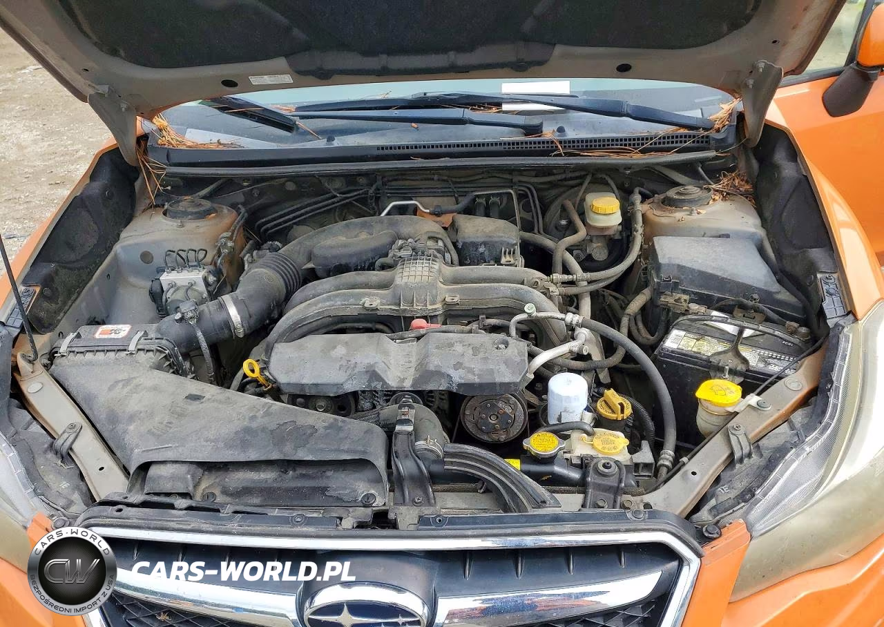 2013 Subaru Xv Crosstrek 2.0 Premium VIN:JF2GPACC9D2849285 - 11