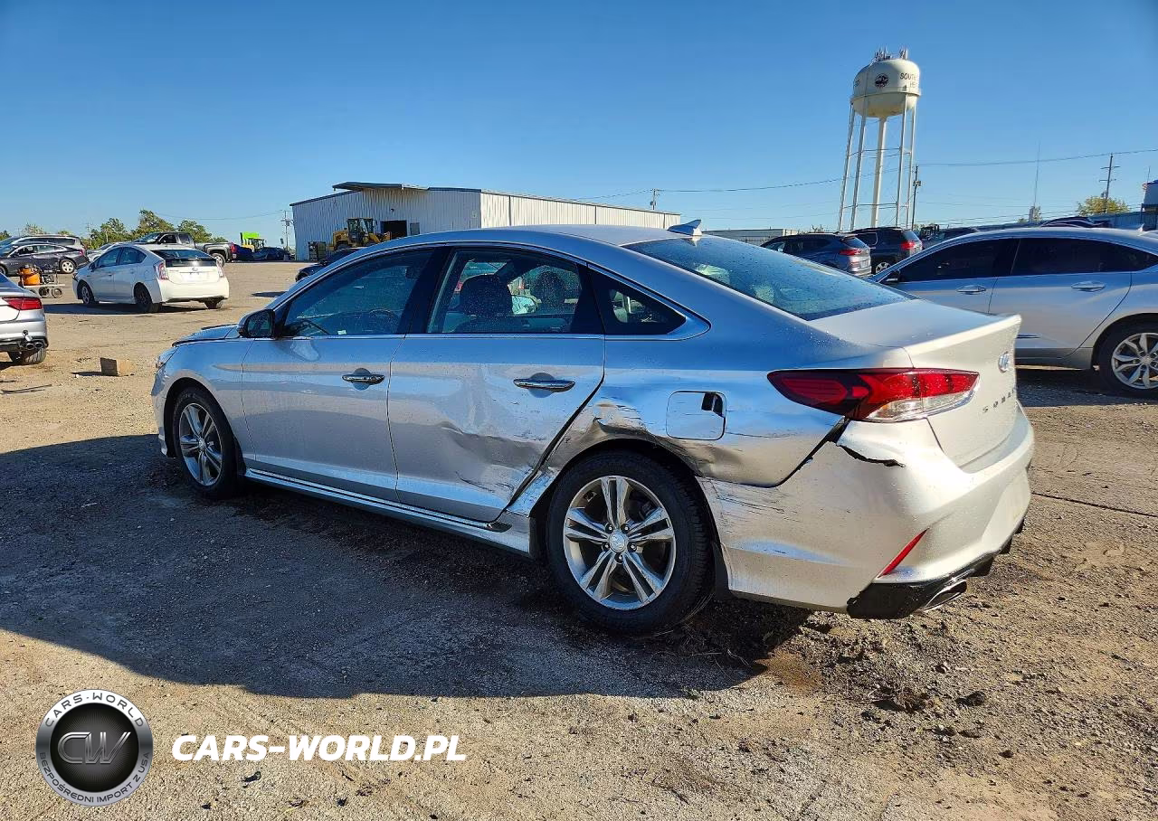 2019 Hyundai Sonata Sport VIN:5NPE34AFXKH780361 - 2