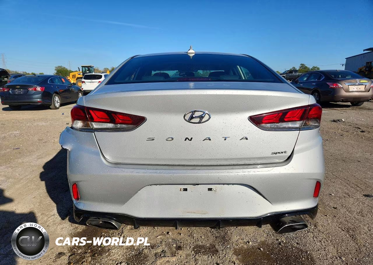 2019 Hyundai Sonata Sport VIN:5NPE34AFXKH780361 - 6