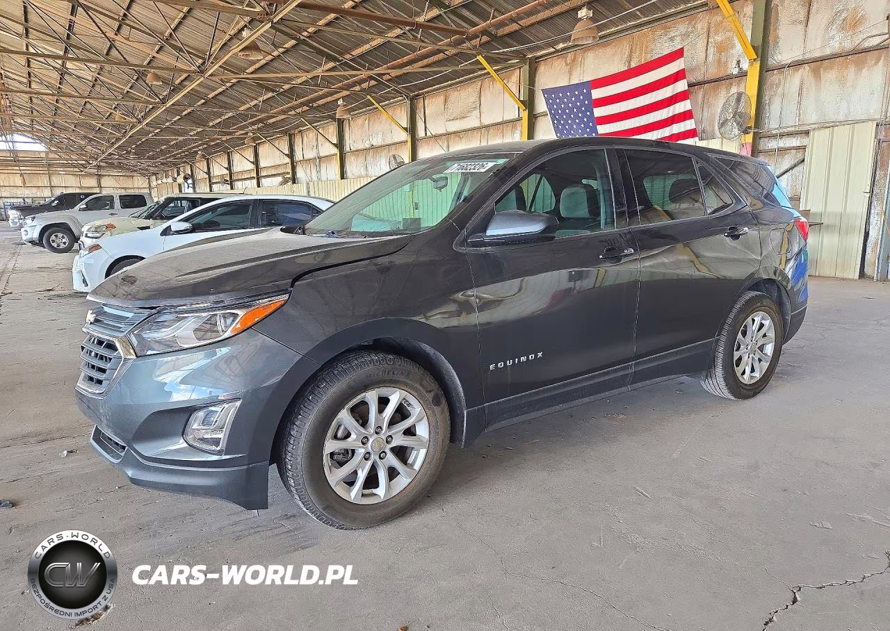 2019 Chevrolet Equinox Ls – zdjęcie 1 z 12