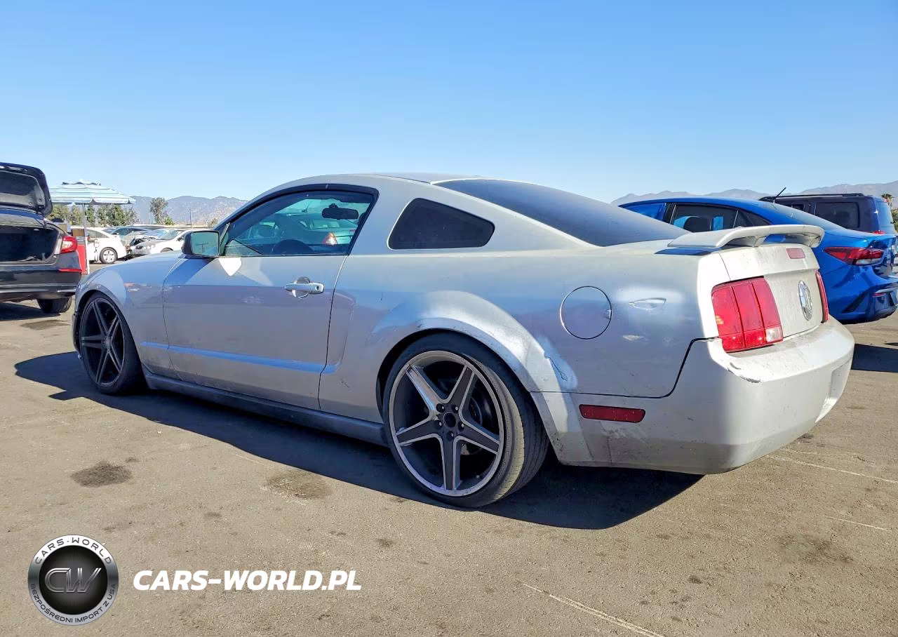 2005 Ford Mustang VIN:1ZVFT80N855196711 - 2