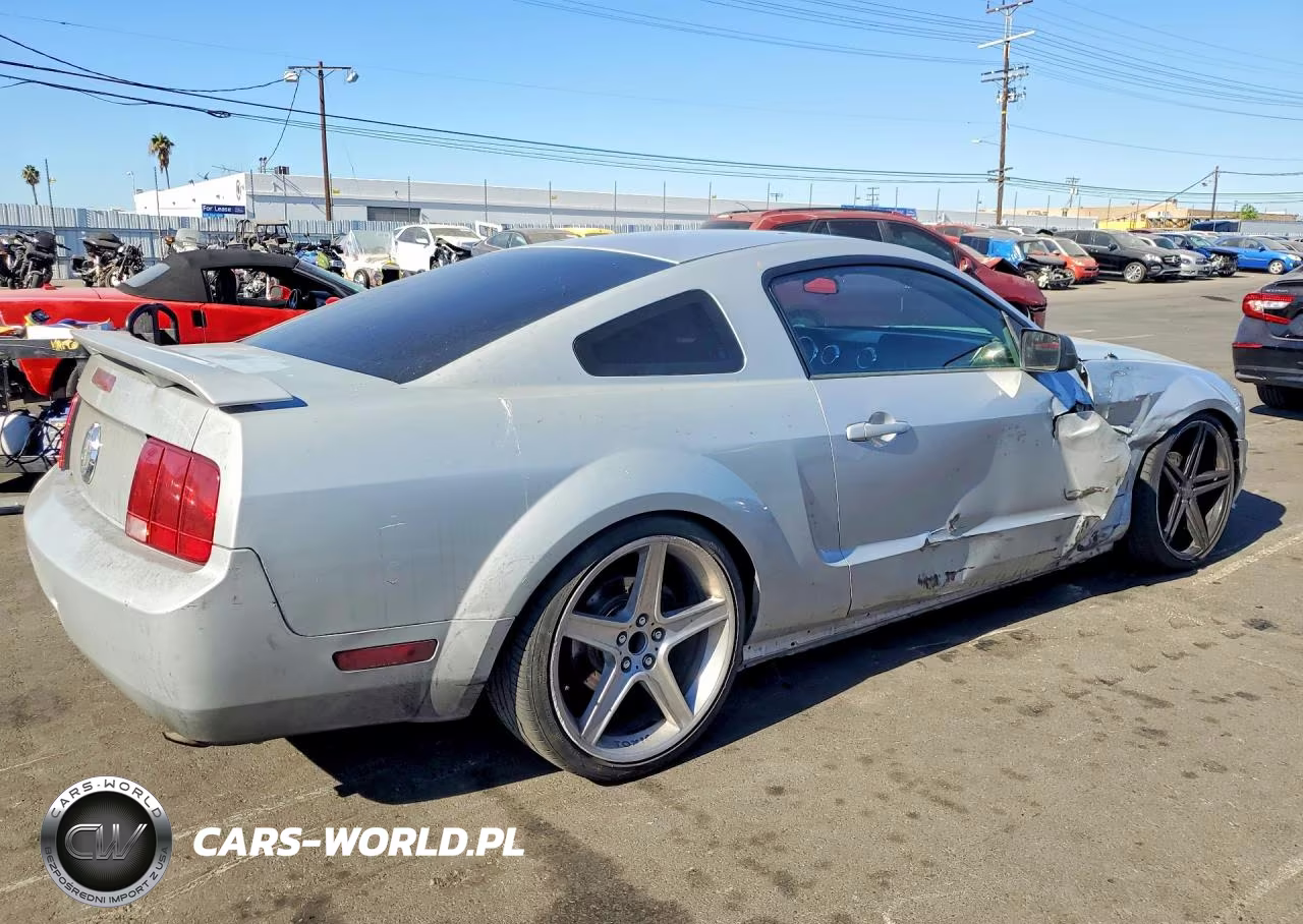 2005 Ford Mustang VIN:1ZVFT80N855196711 - 3