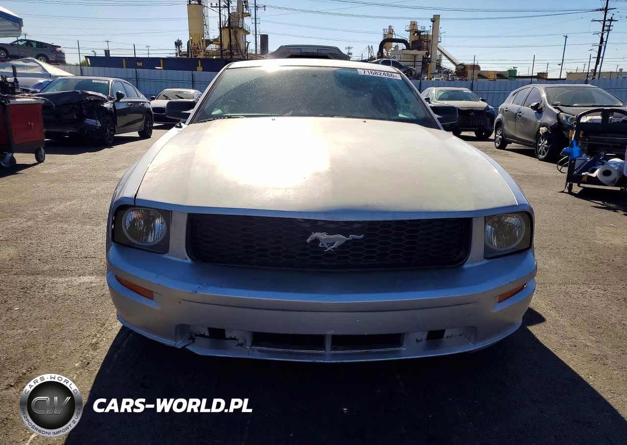 2005 Ford Mustang VIN:1ZVFT80N855196711 - 5