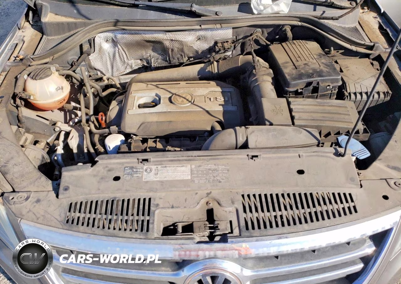 2011 Volkswagen Tiguan S VIN:WVGAV7AX7BW504079 - 11
