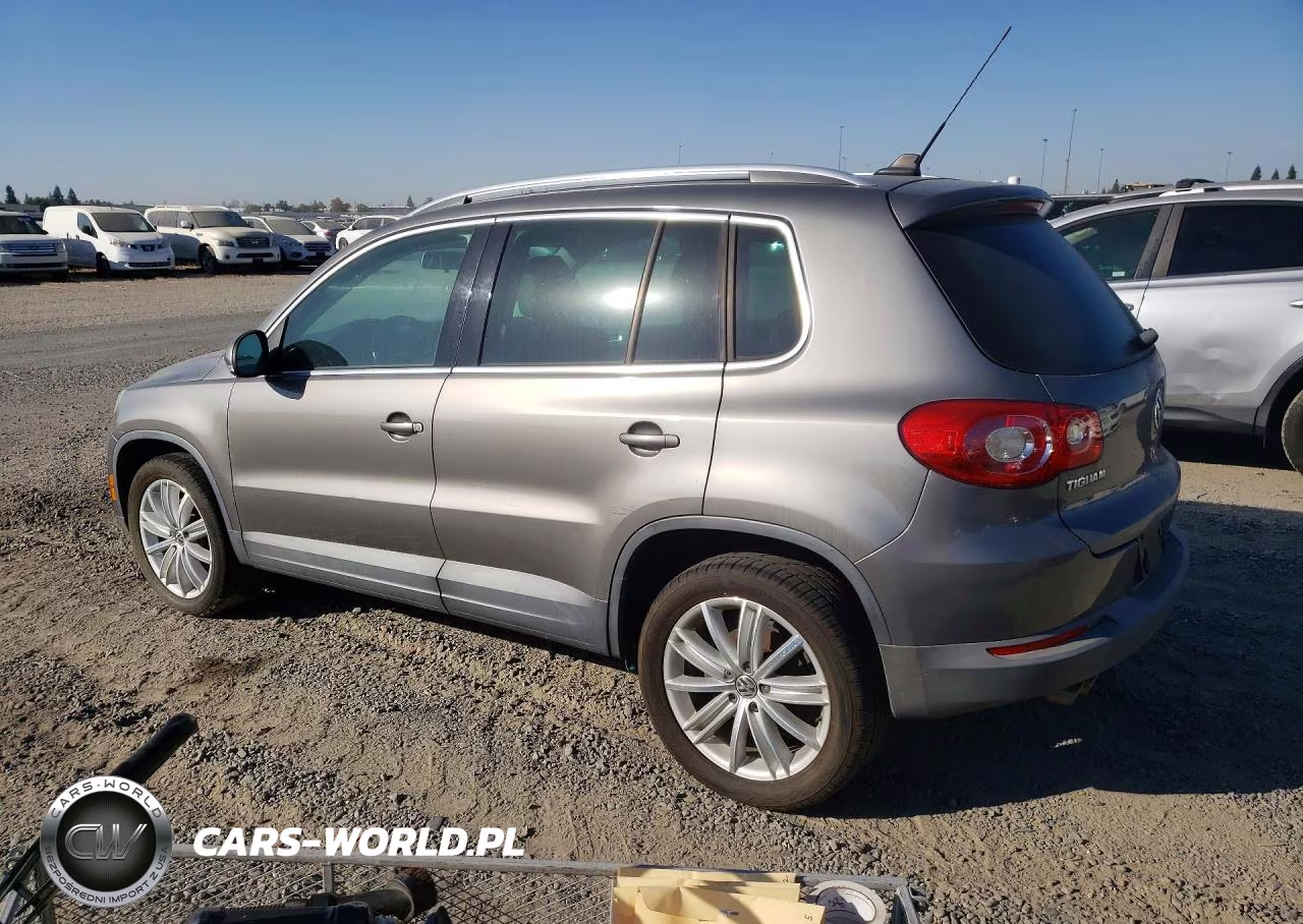 2011 Volkswagen Tiguan S VIN:WVGAV7AX7BW504079 - 2