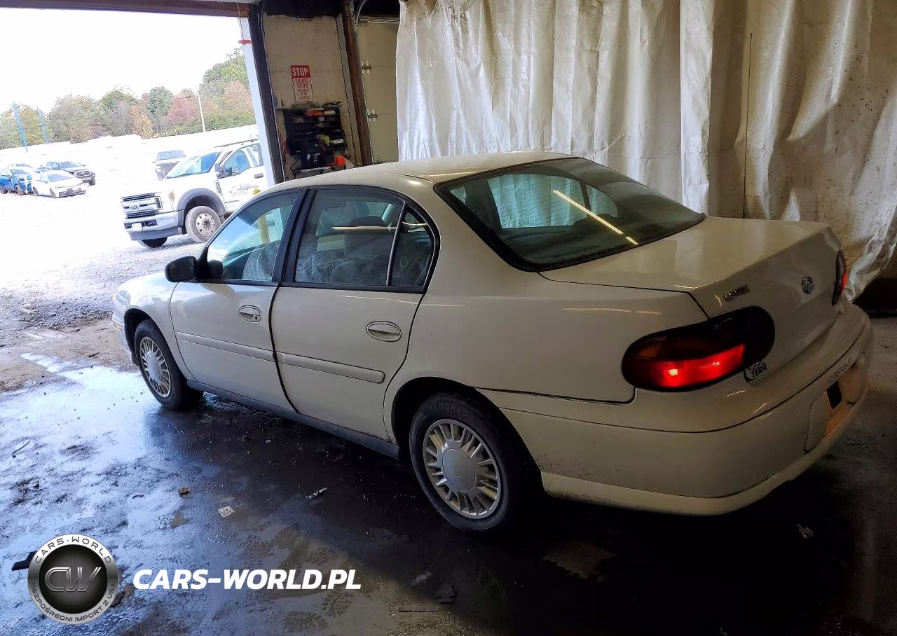 2005 Chevrolet Classic VIN:1G1ND52F65M169036 - 2