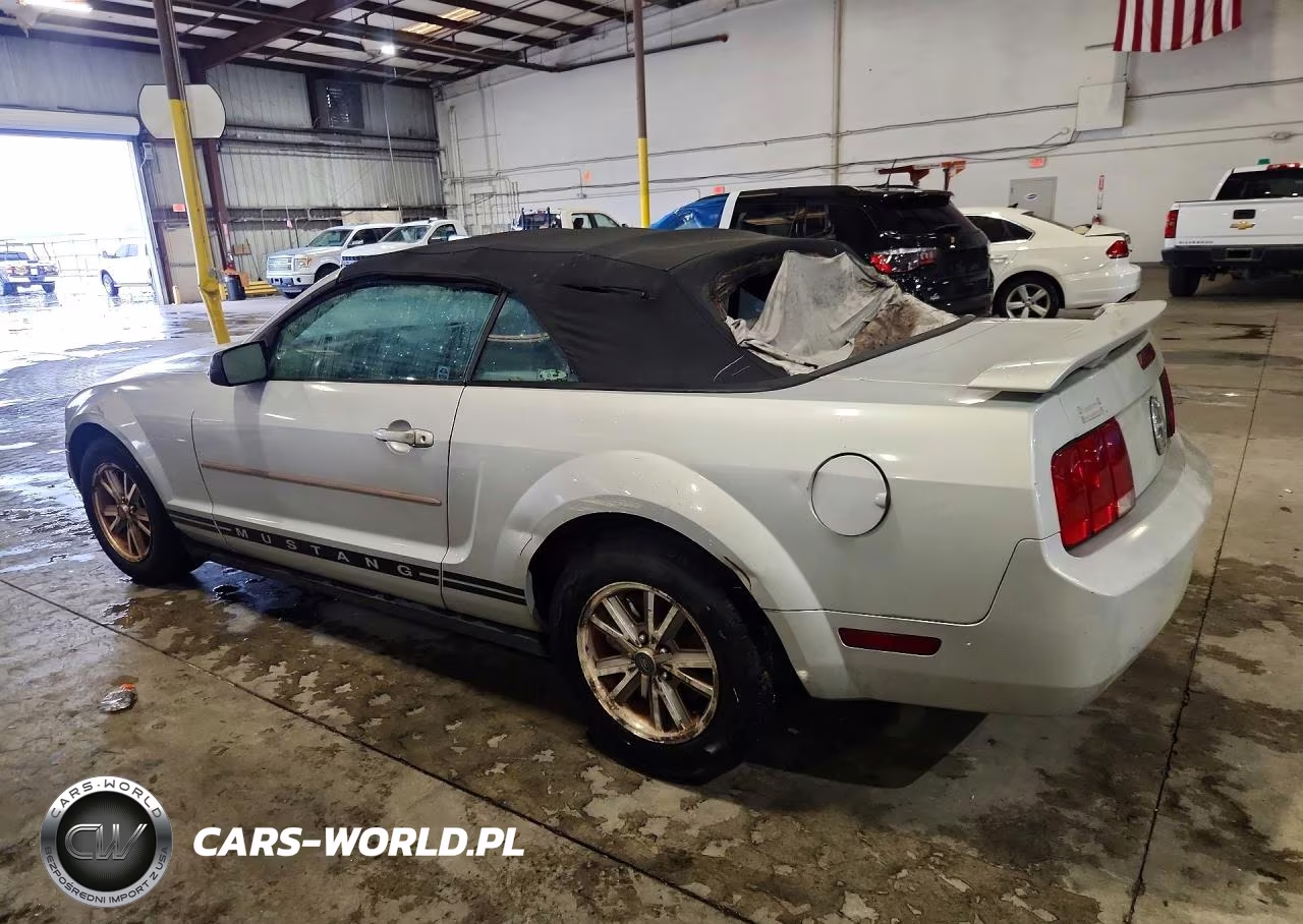 2005 Ford Mustang VIN:1ZVFT84N255186881 - 2