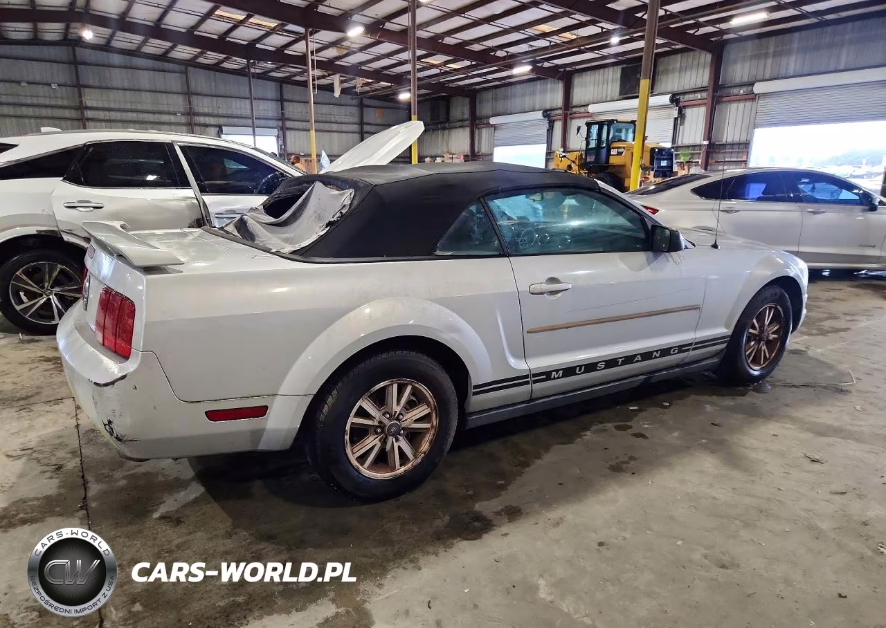 2005 Ford Mustang VIN:1ZVFT84N255186881 - 3