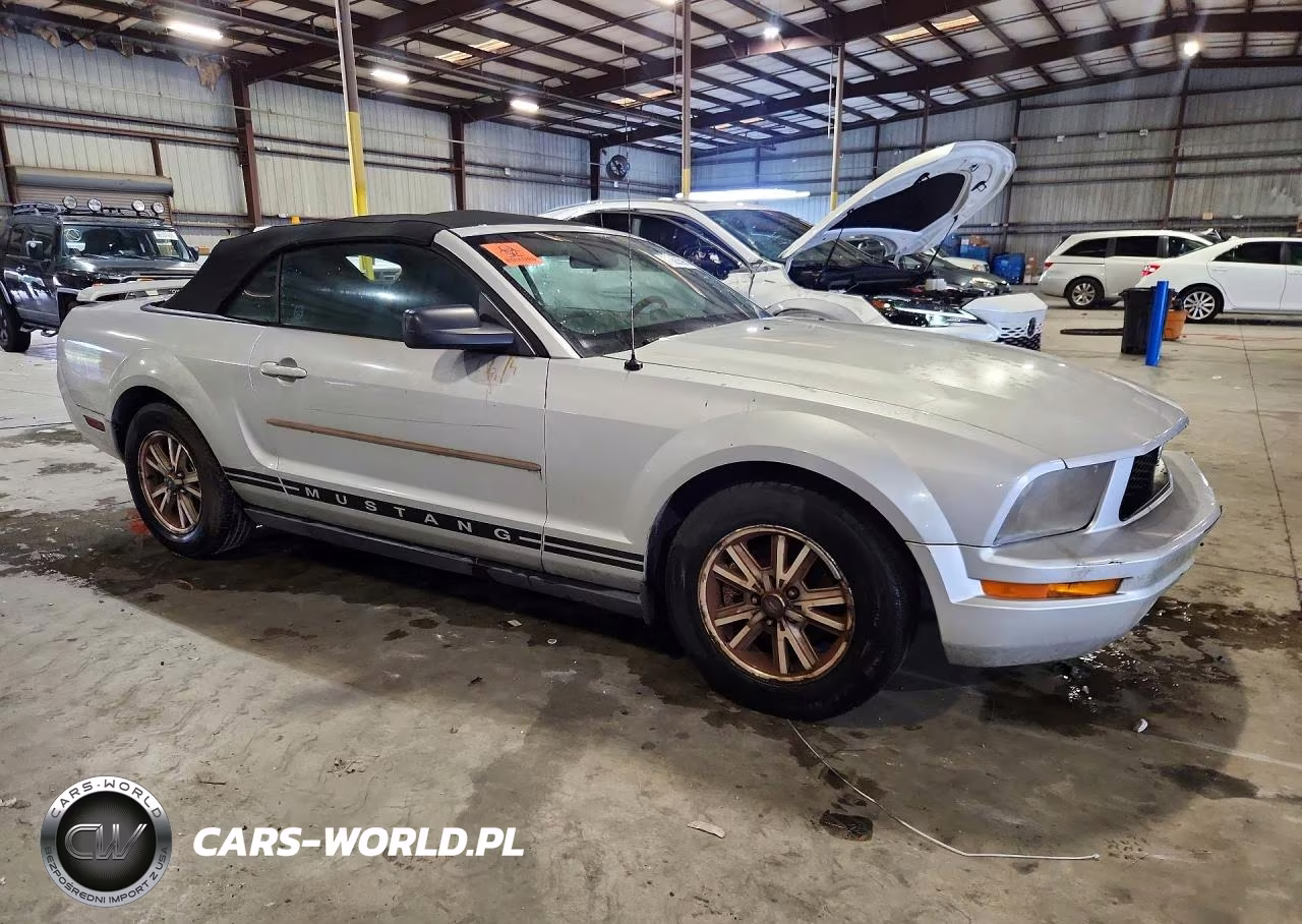 2005 Ford Mustang VIN:1ZVFT84N255186881 - 4