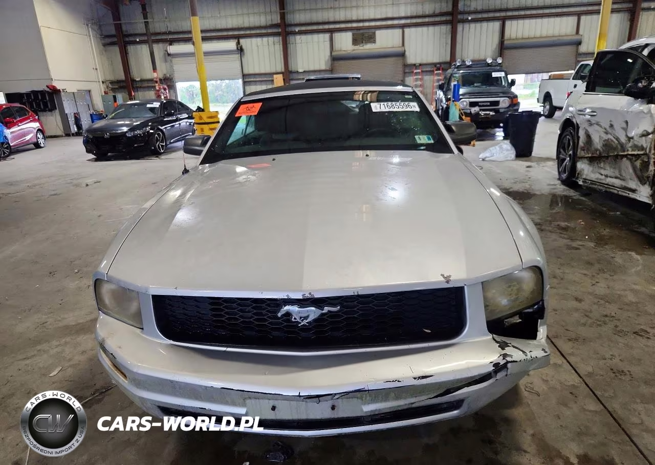 2005 Ford Mustang VIN:1ZVFT84N255186881 - 5