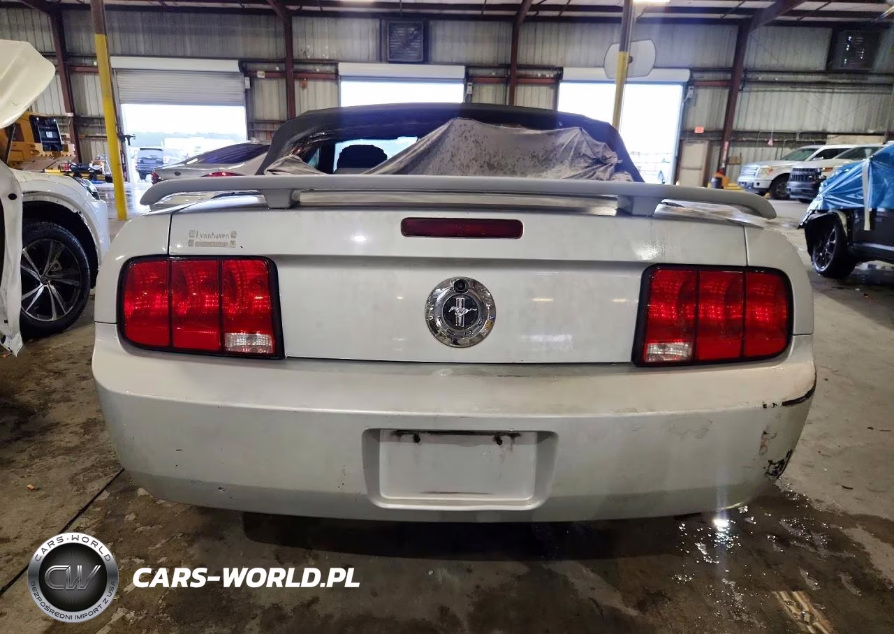 2005 Ford Mustang VIN:1ZVFT84N255186881 - 6