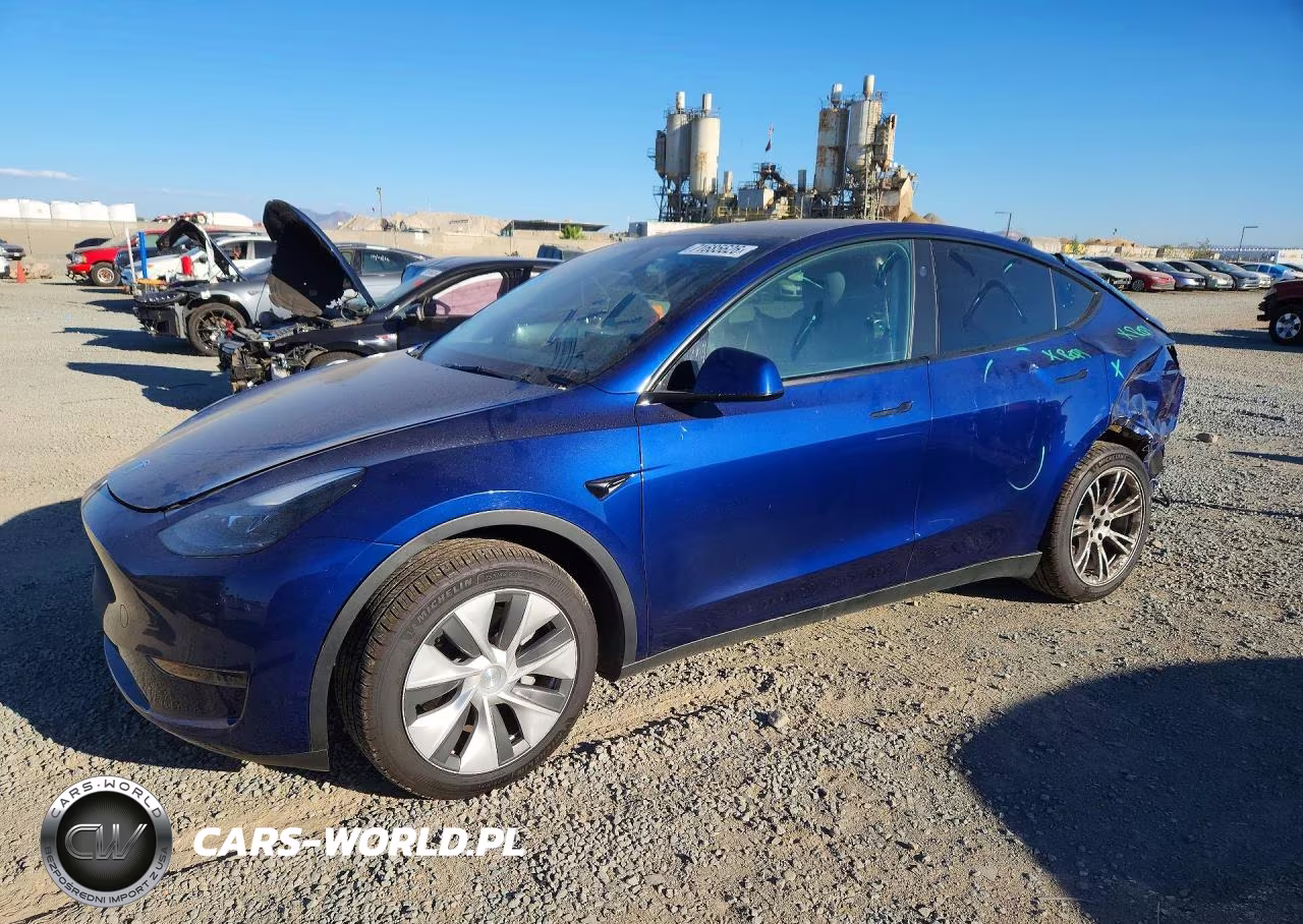 2024 Tesla Model Y