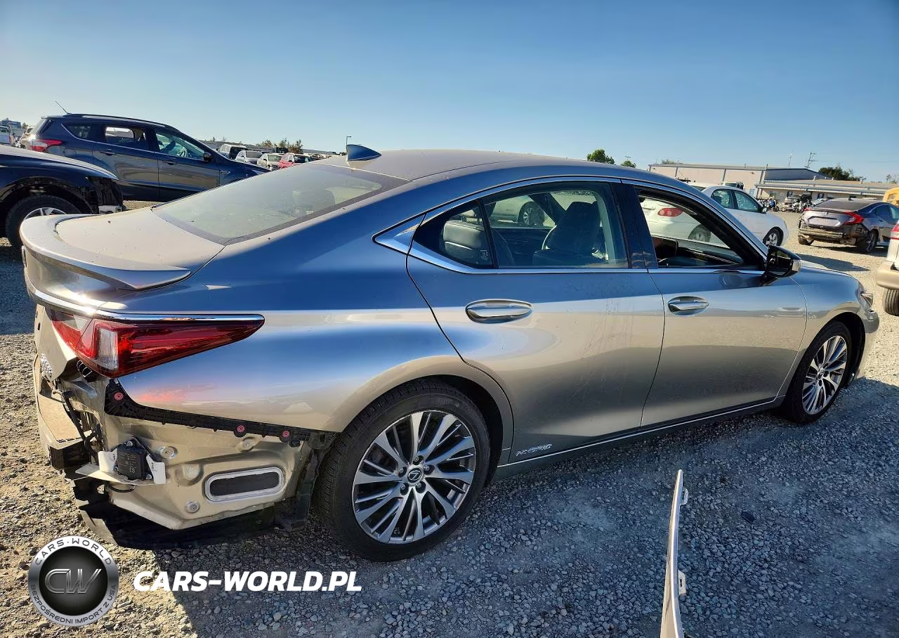 2019 Lexus Es 300H VIN:JTHB21B19K2034751 - 3