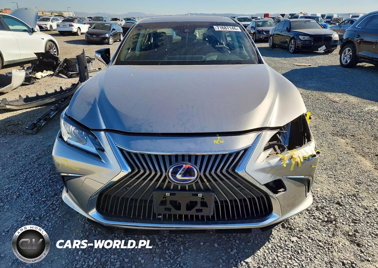 2019 Lexus Es 300H VIN:JTHB21B19K2034751 - 5