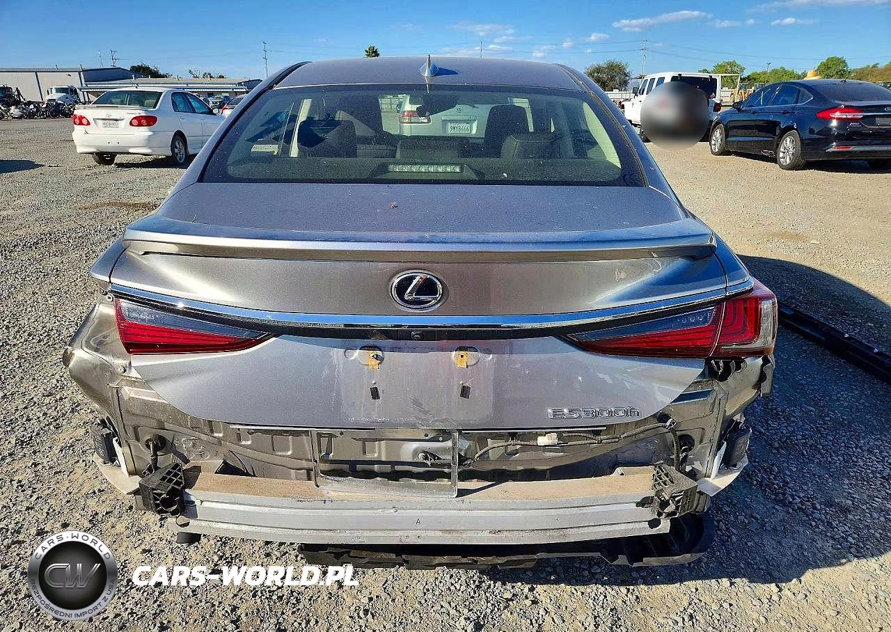 2019 Lexus Es 300H VIN:JTHB21B19K2034751 - 6