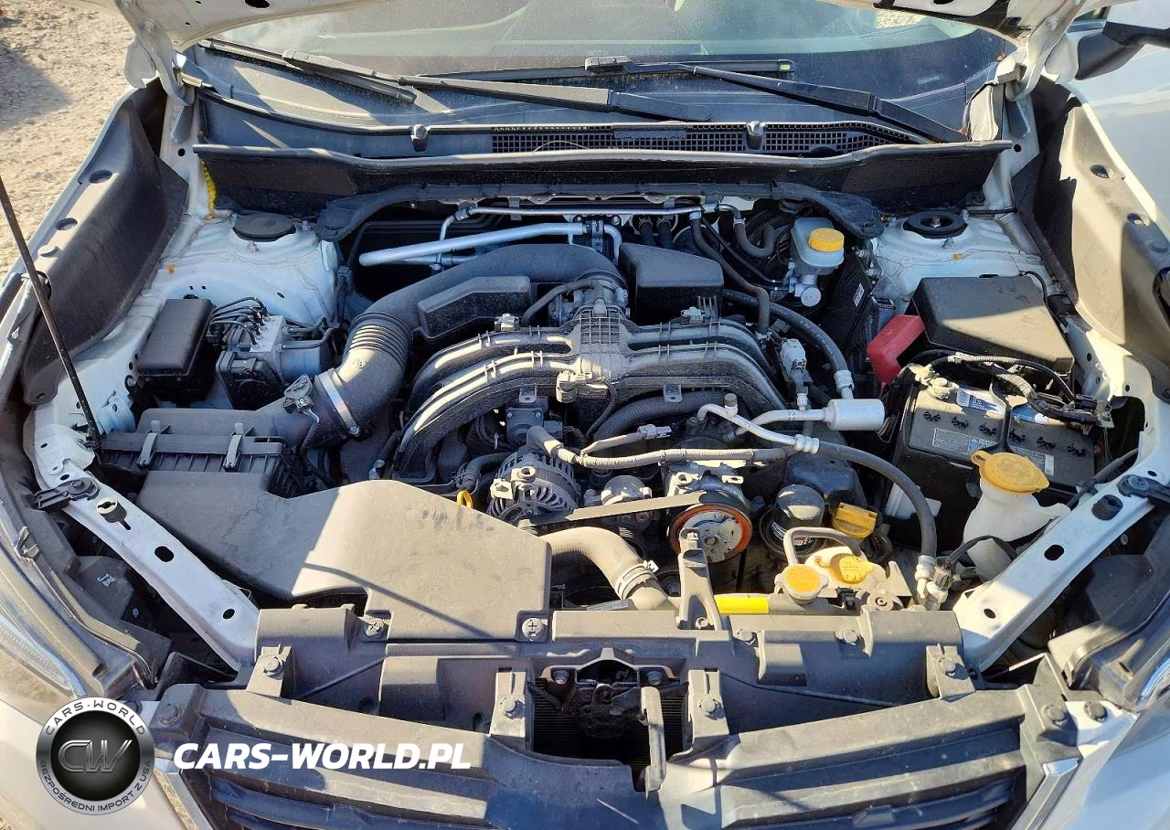 2019 Subaru Forester Limited VIN:JF2SKASC5KH436008 - 11