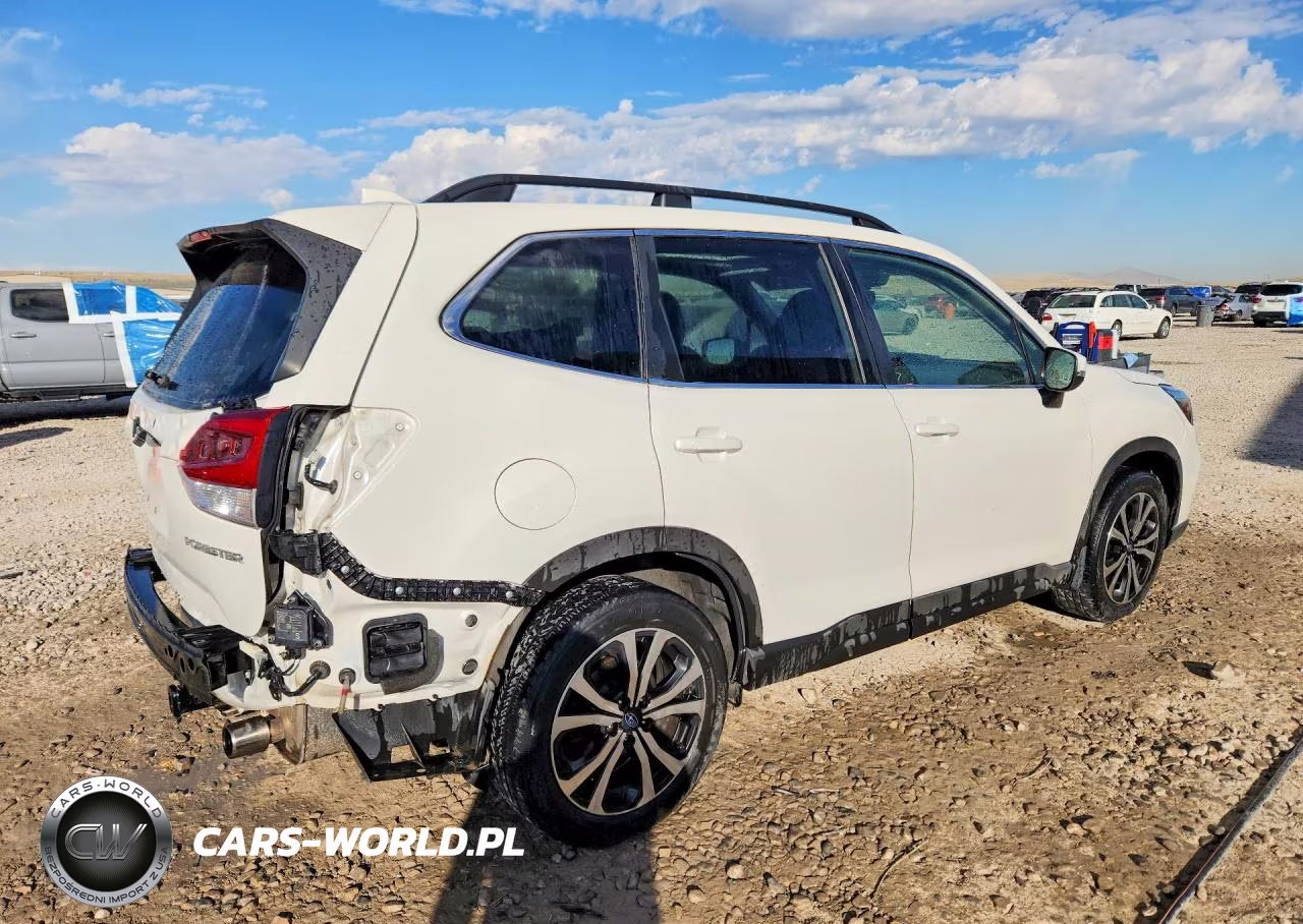 2019 Subaru Forester Limited VIN:JF2SKASC5KH436008 - 3
