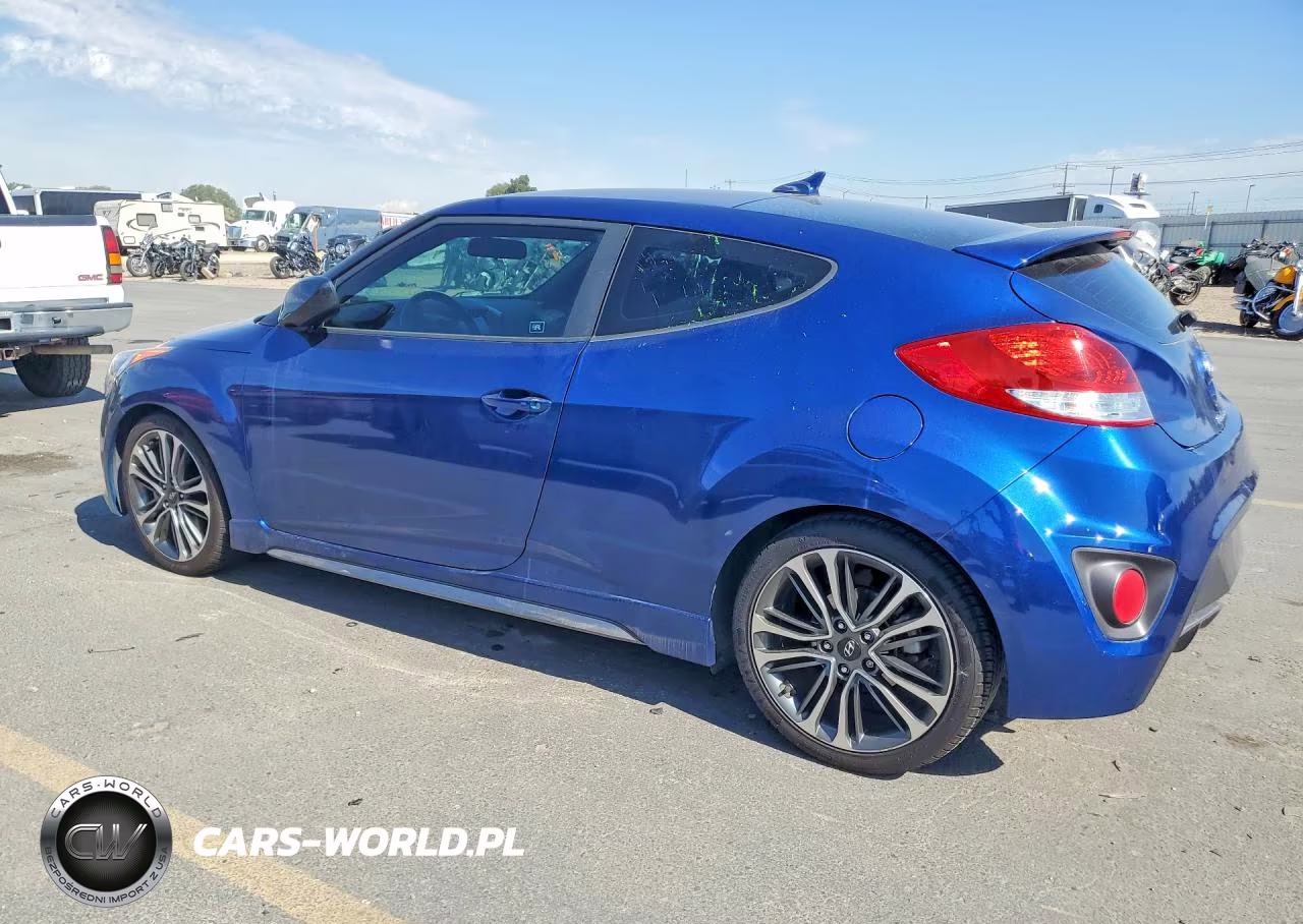 2017 Hyundai Veloster Turbo VIN:KMHTC6AE7HU313175 - 2