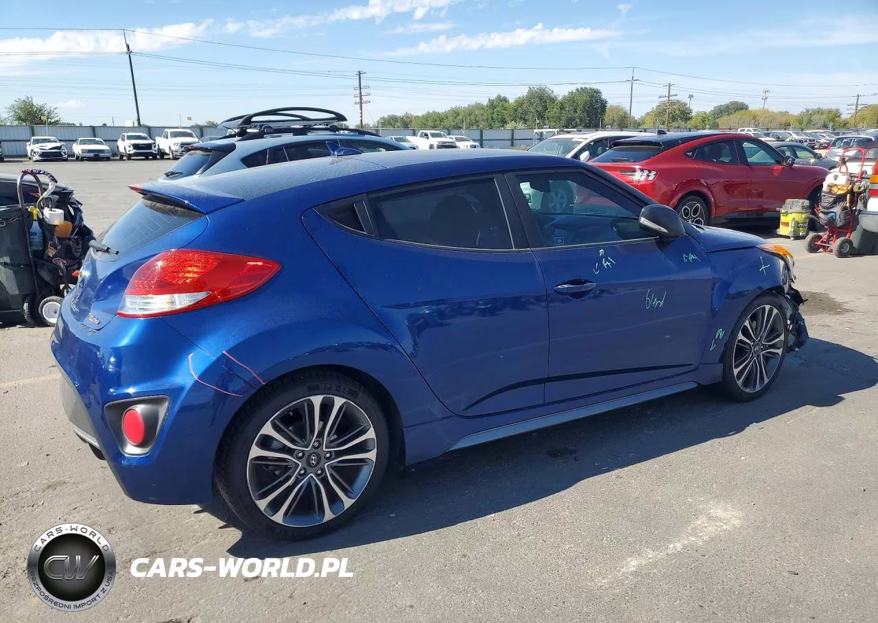 2017 Hyundai Veloster Turbo VIN:KMHTC6AE7HU313175 - 3