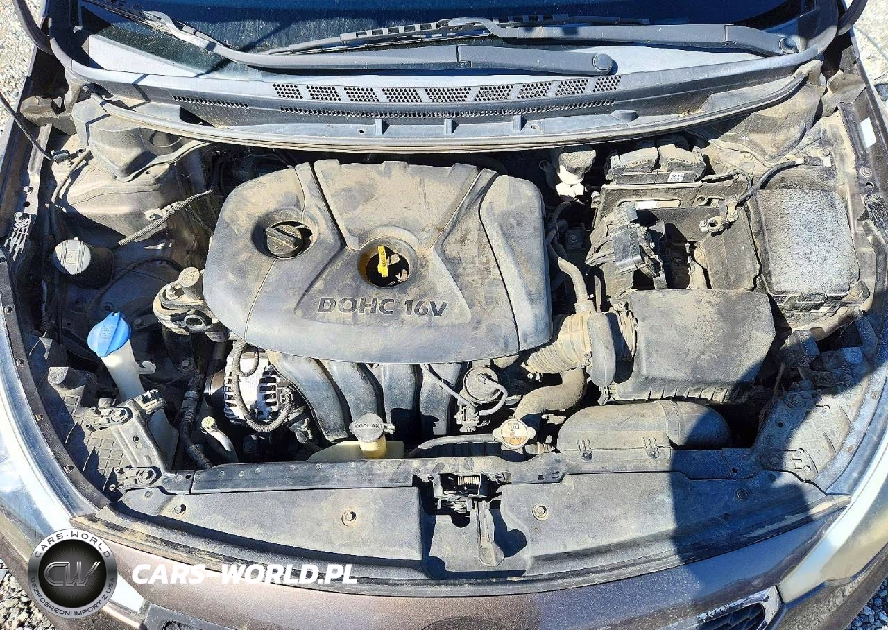 2014 Kia Forte Lx VIN:KNAFK4A69E5055763 - 11