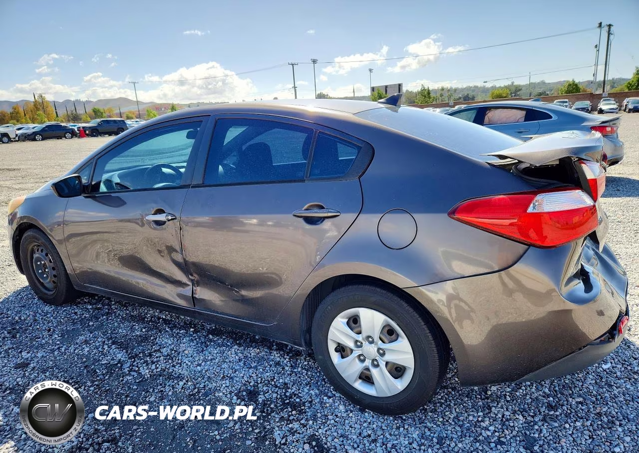 2014 Kia Forte Lx VIN:KNAFK4A69E5055763 - 2