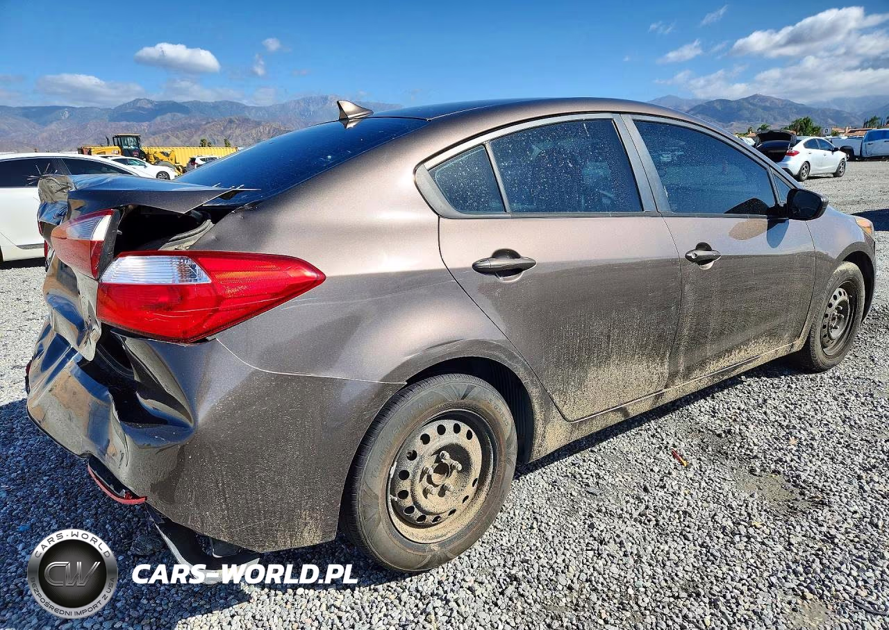 2014 Kia Forte Lx VIN:KNAFK4A69E5055763 - 3