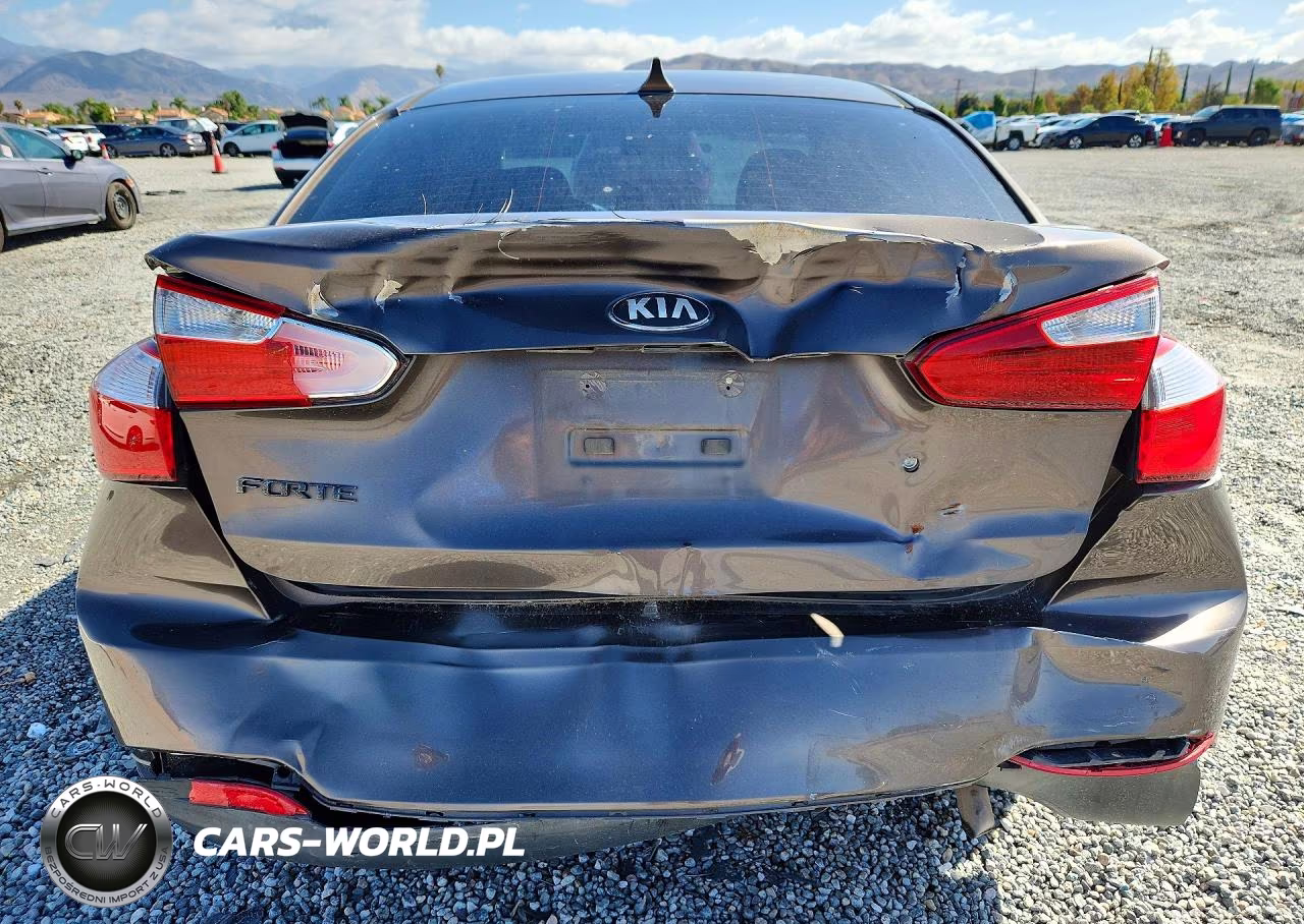 2014 Kia Forte Lx VIN:KNAFK4A69E5055763 - 6