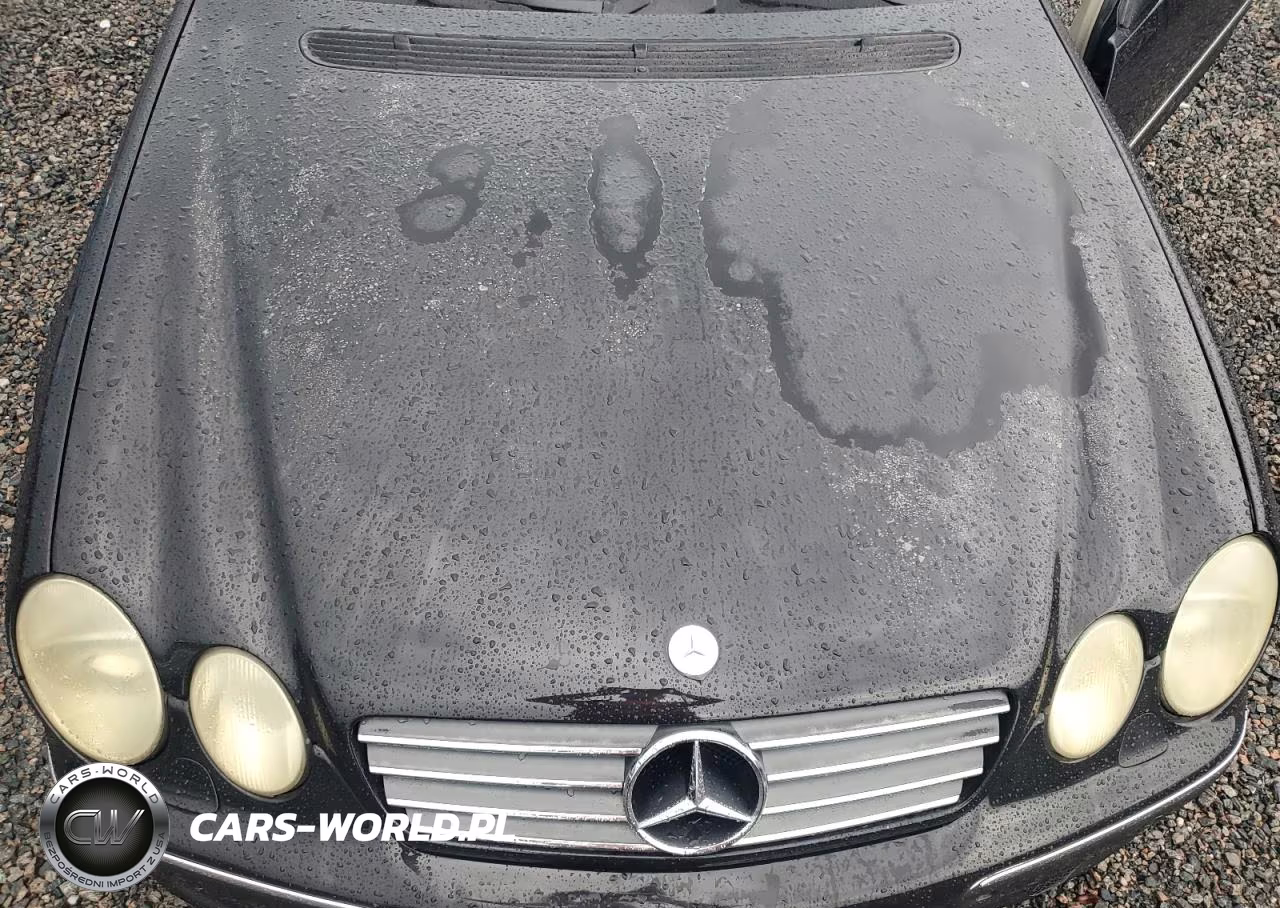 2002 Mercedes-Benz Cl 500 VIN:WDBPJ75J72A023910 - 11