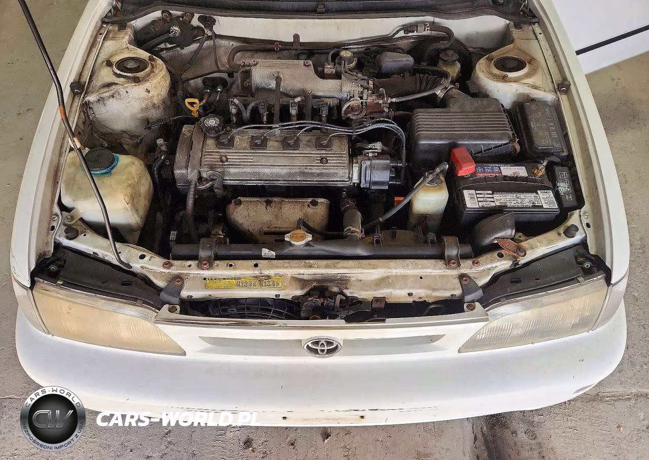 1997 Toyota Corolla Base VIN:1NXBA02E1VZ598691 - 11