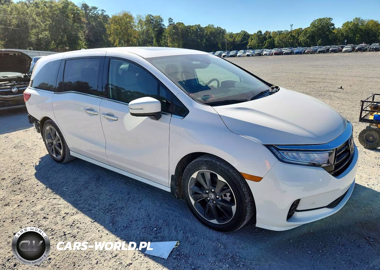 2024 Honda Odyssey Elite VIN:5FNRL6H94RB063136 - 4