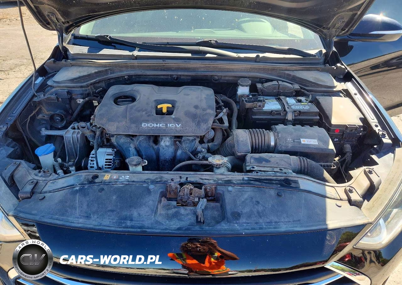 2017 Hyundai Elantra Limited VIN:KMHD84LF4HU179824 - 11