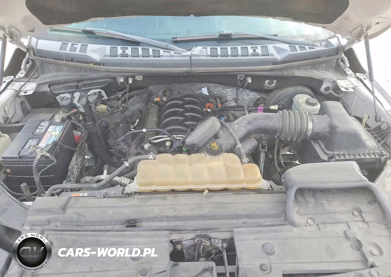2019 Ford F150 Supercrew VIN:1FTEW1C50KFB47436 - 11