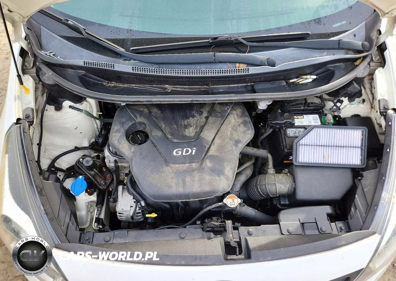 2014 Kia Rio Lx VIN:KNADM4A33E6399591 - 11