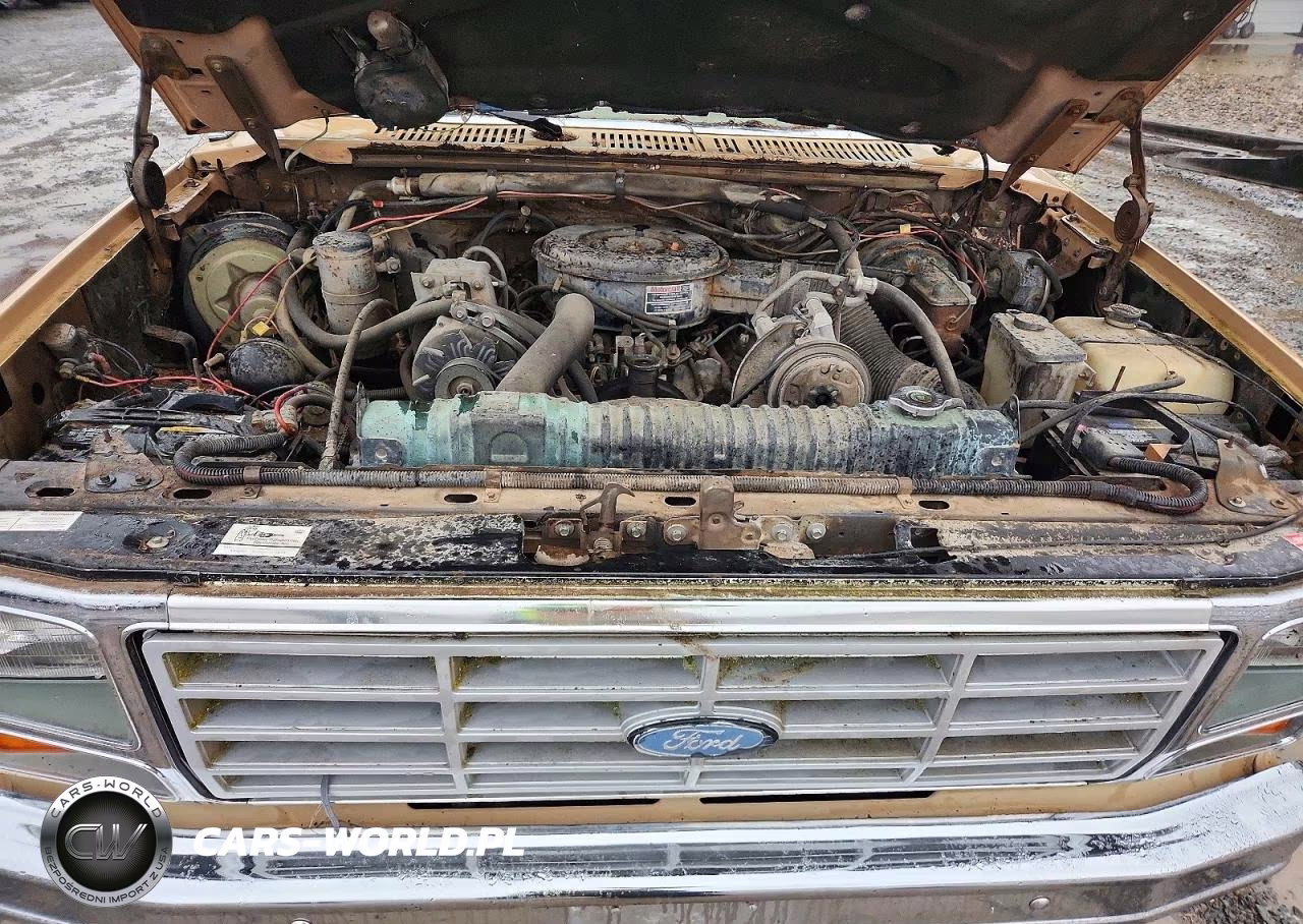 1984 Ford F250 VIN:1FTHF2519EPB27035 - 11