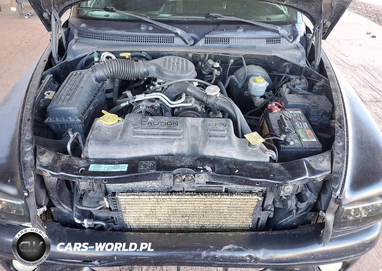 2000 Dodge Dakota VIN:1B7GL22X2YS503203 - 11
