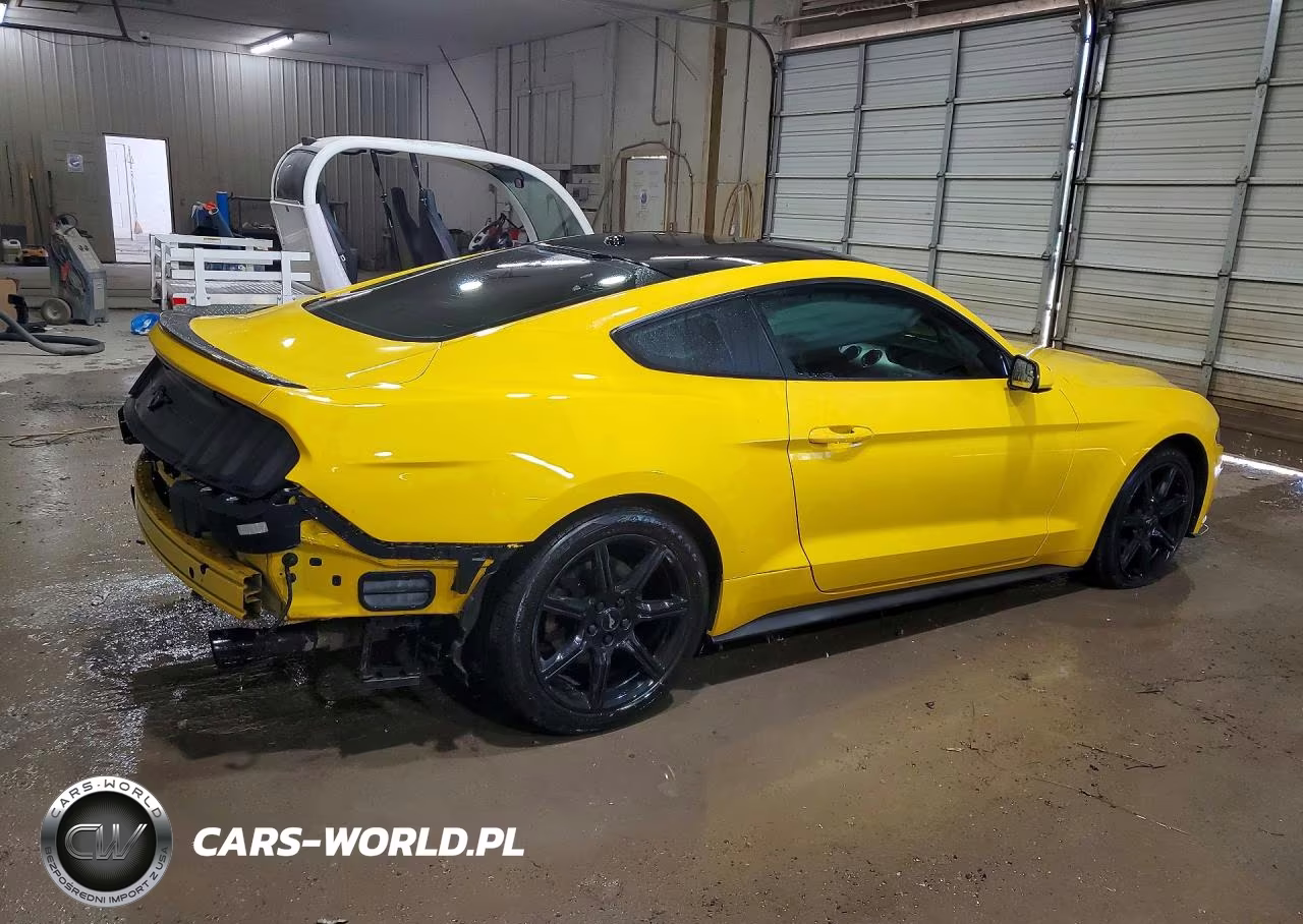2018 Ford Mustang VIN:1FA6P8TH3J5135487 - 3