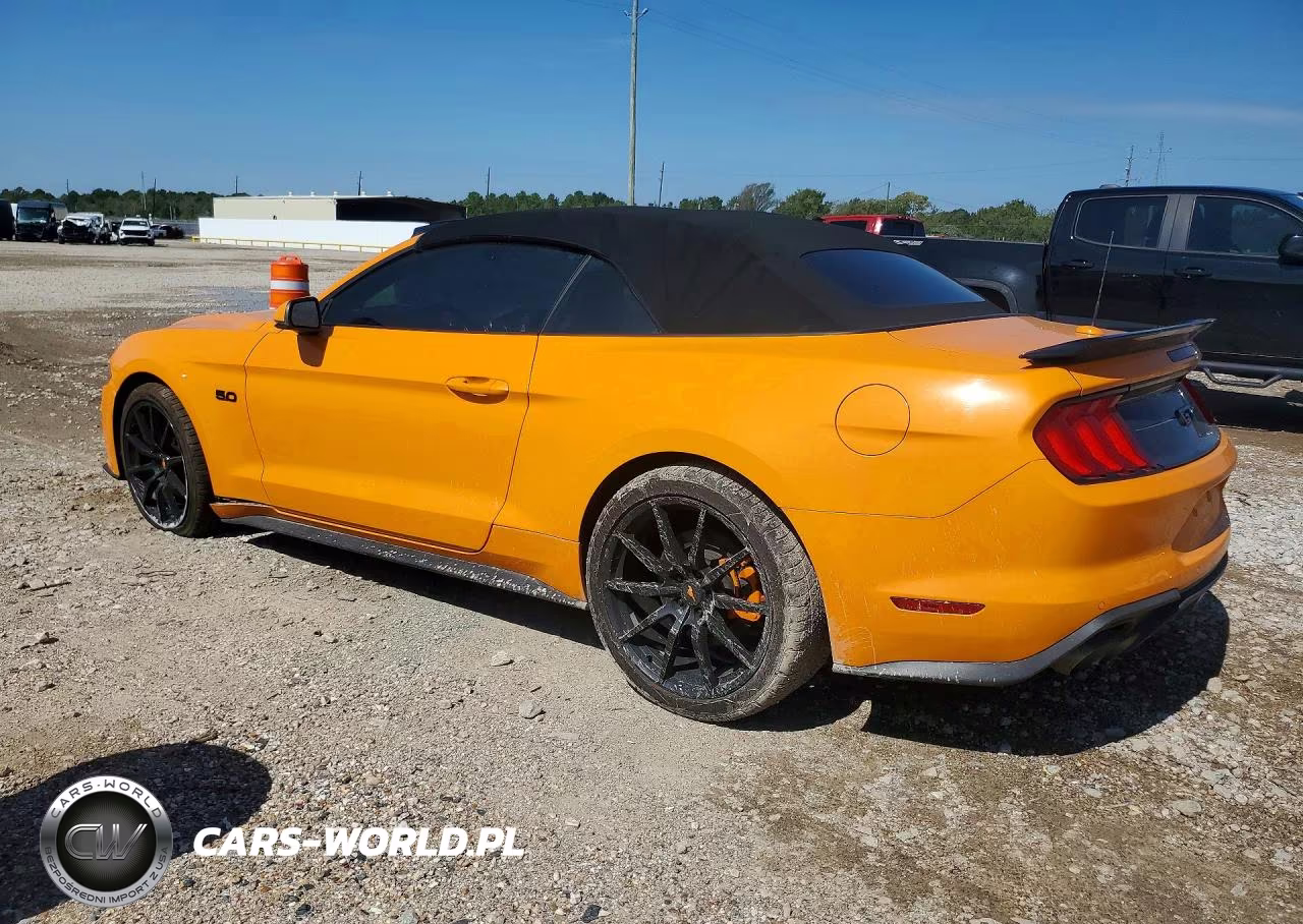 2019 Ford Mustang Gt VIN:1FATP8FF3K5169847 - 2