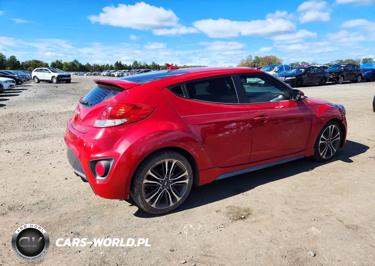 2016 Hyundai Veloster Turbo VIN:KMHTC6AE3GU285020 - 3