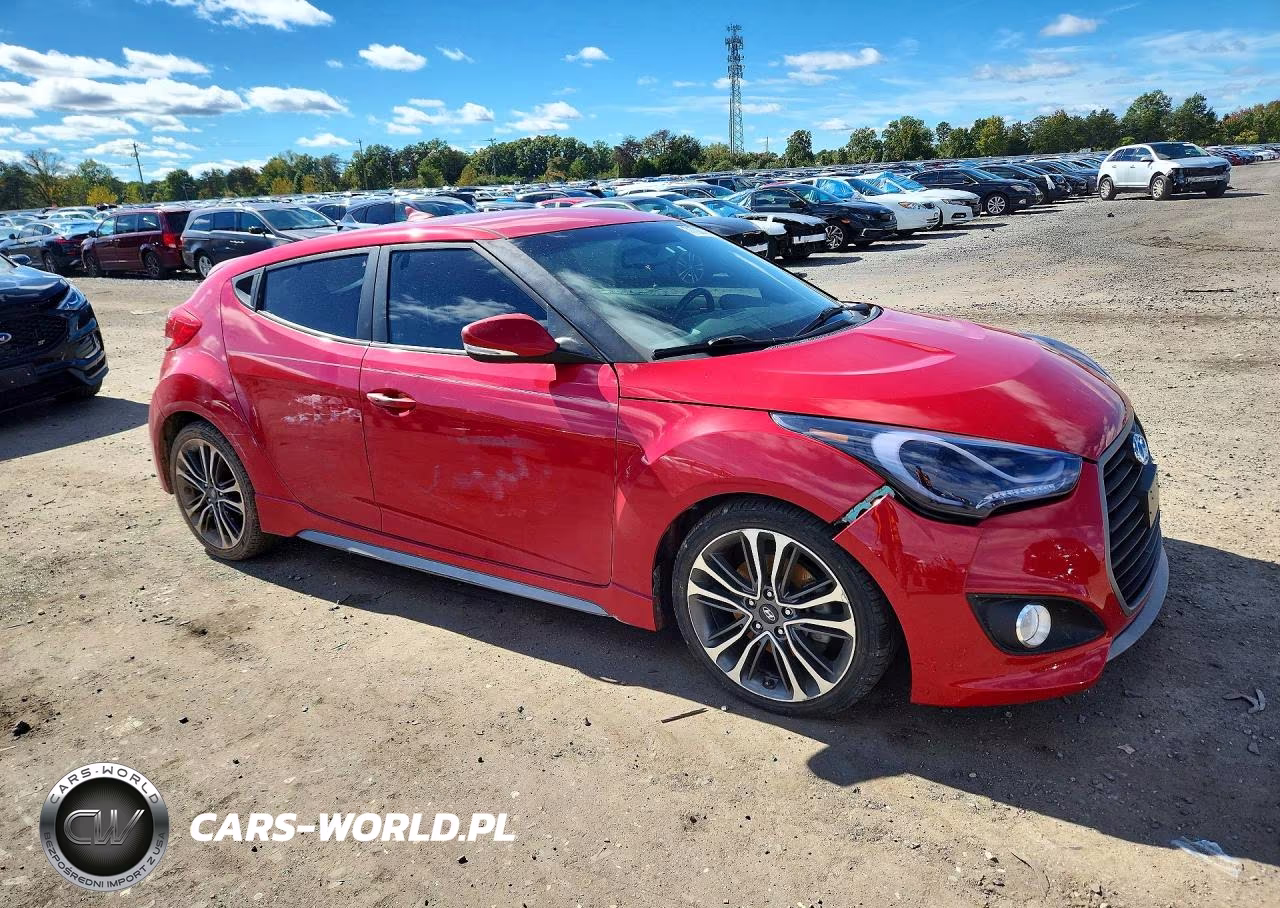 2016 Hyundai Veloster Turbo VIN:KMHTC6AE3GU285020 - 4