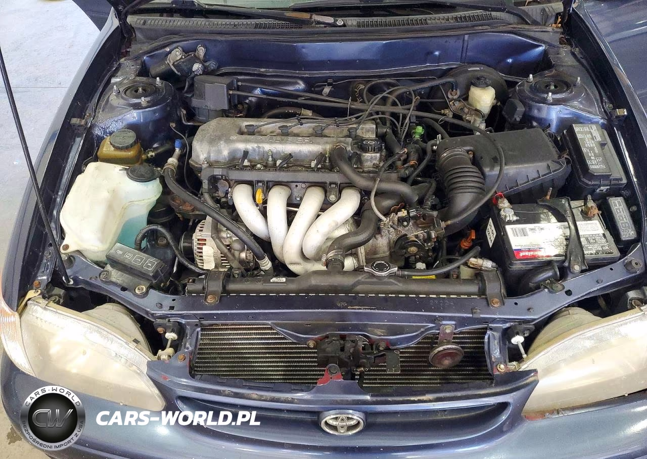 1999 Toyota Corolla Ve VIN:2T1BR12E5XC190861 - 11